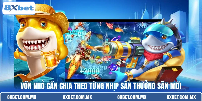 Vốn nhỏ cần chia theo từng nhịp săn thưởng săn mồi